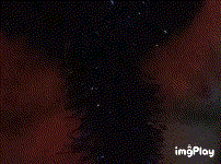 IMG_9mmqsr.gif
