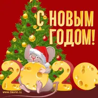 8rEXdDxs4-8.webp