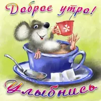 bp47w8jt0e41n.webp