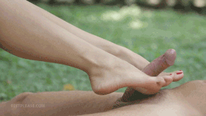 17540722.gif