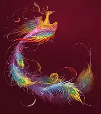 image-2.webp