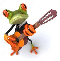 depositphotos_6084552-stock-photo-frog-with-a-guitar.webp