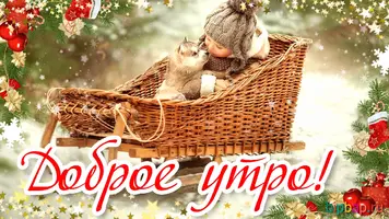 utro3.webp