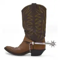 depositphotos_13483978-stock-photo-cowboy-boot-and-spur.webp