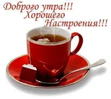 7103398.webp