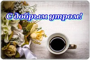 flower-3284136_1280.webp