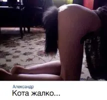 tbimKwnE_EM.webp