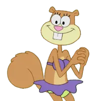 si.webp