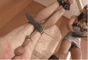 shame85-7zg5u-444c50.gif