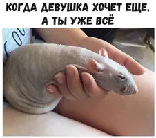 Xl887K_U7eE.webp