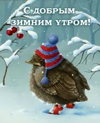 Dobroe-zimnee-utro_2.webp