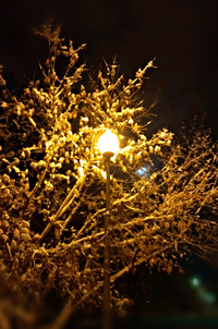 1578812577333.webp