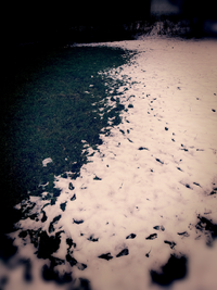 1578987627243.webp