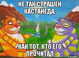 133177138_post33440563419001417178325.webp