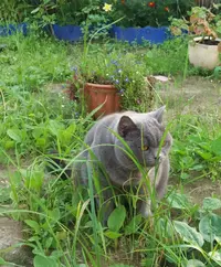 20200114_150451.webp