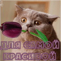 resize.gif