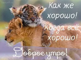 a56252fc0a148a618012c6048fcfdfeb.webp