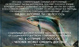 med_gallery_11_4_738322.webp