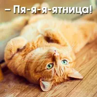 711464_600.webp