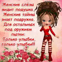 334.webp