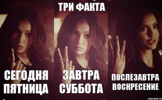 prlp_36147598_orig_.webp