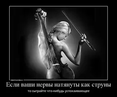 n2to0gfhob6ushpb.webp