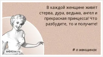 14330190495182872827.webp
