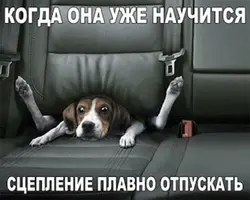 1445078568.webp