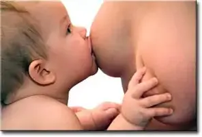 lakt1.webp