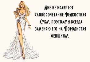 291972881.webp