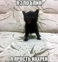 images (1).webp