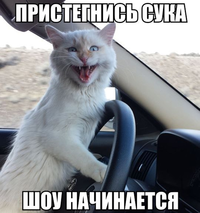283749.webp