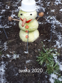 20200119_121054.webp
