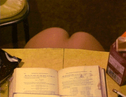 8330389.gif
