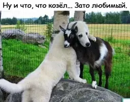 IMG_20200119_224032.webp