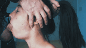 20404916.gif