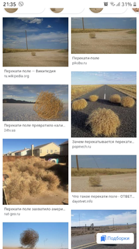Screenshot_20200121-213548_Chrome.webp
