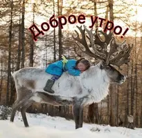 IMG-20200110-WA0001.webp