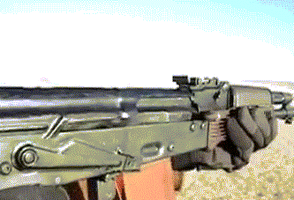 90067.gif