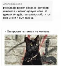 s96CVeHSG1k.webp