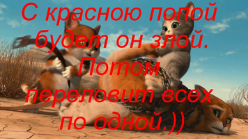 IMG_20200128_162339_.webp
