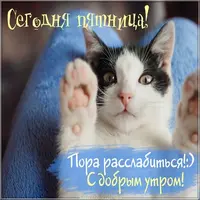 dobroe-outro-s-pyatnitsej-kartinka-pozitivnaya-prikolnaya.webp