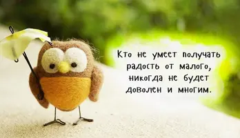 3104cc5s-960.webp
