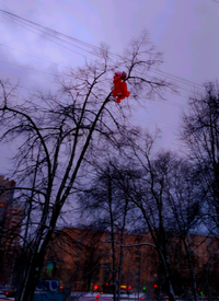 1580652622966.webp