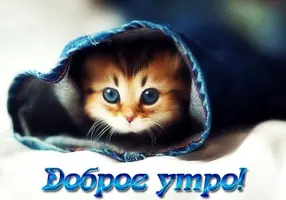 1547190167_dobroe-utro-devushke-pozhelaniya.webp