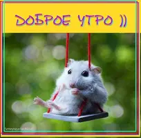 unnamed.webp