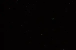 1254212.webp