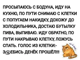 IMG_20200205_010043.webp