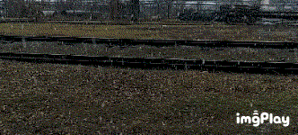 IMG_de79qv.gif