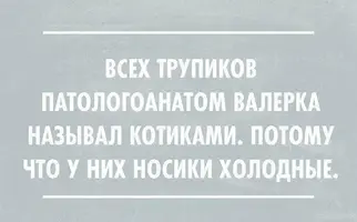 fullsize.webp